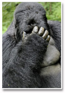 Forex_Kong_Disgusted