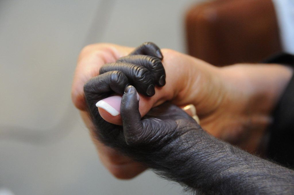 Lets Hold Hands